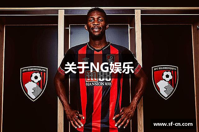 关于NG娱乐